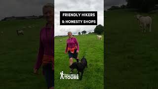 Hadrians Wall Self-Guided Walking Holidays