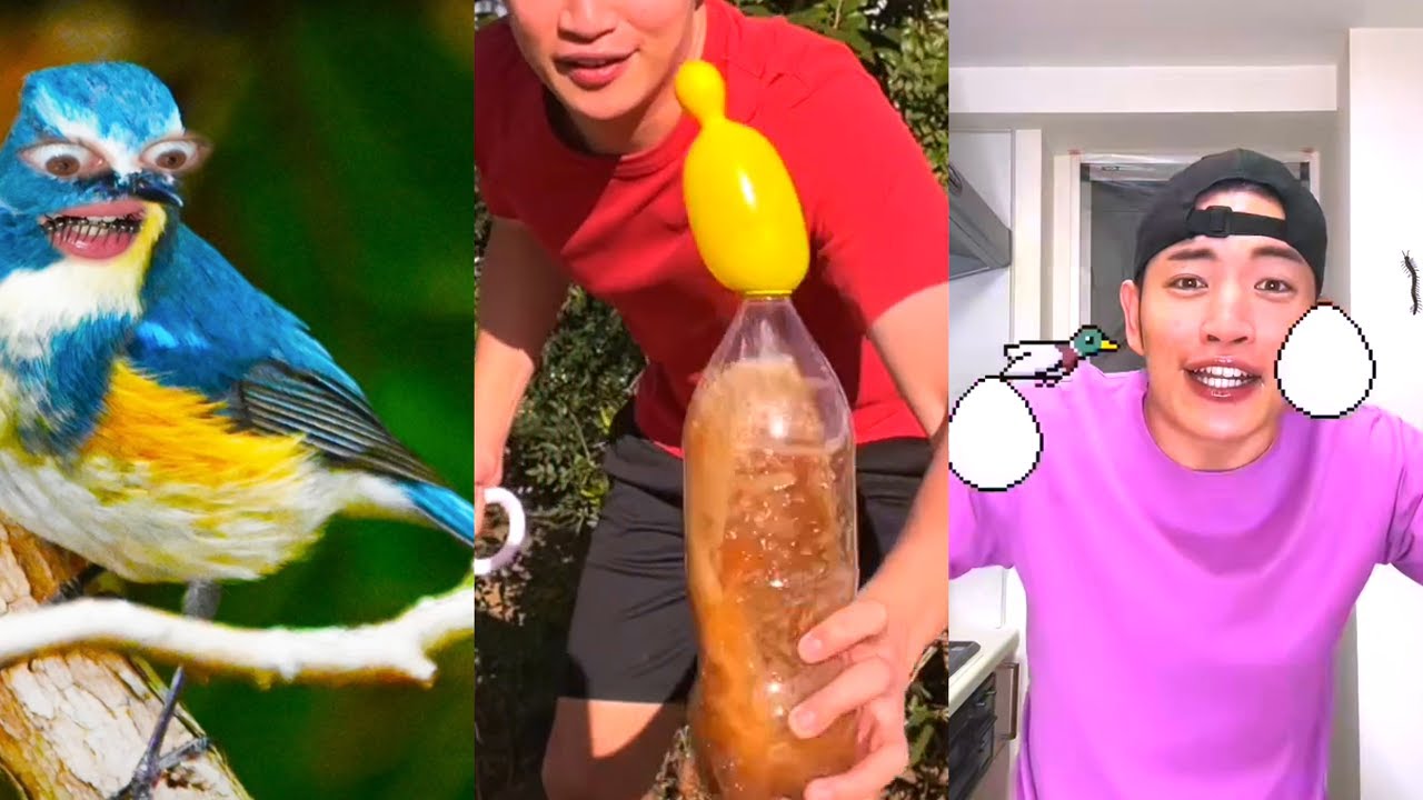 Nonomen funny video😂😂😂 CRAZIEST Nonomen Funny TikTok Compilation | Try Not To Laugh Watching