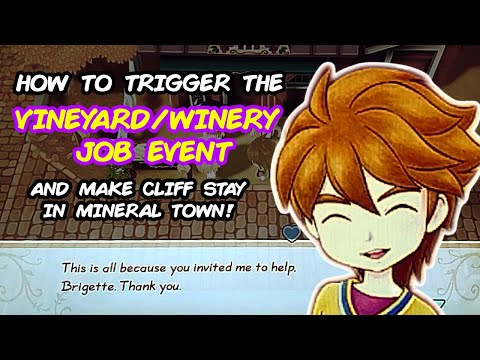 Story of Seasons - How to trigger the Vineyard / Winery job event & make Cliff stay in Mineral Town