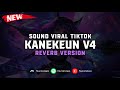 DJ Kanekeun V4 ( Reverb Version ) 🎧