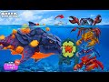 SPECIAL PYRO SHARK VS EVERY CRAB KING! 🔥 EPIC BATTLE! | BIG SHARK - HUNGRY SHARK EVOLUTION