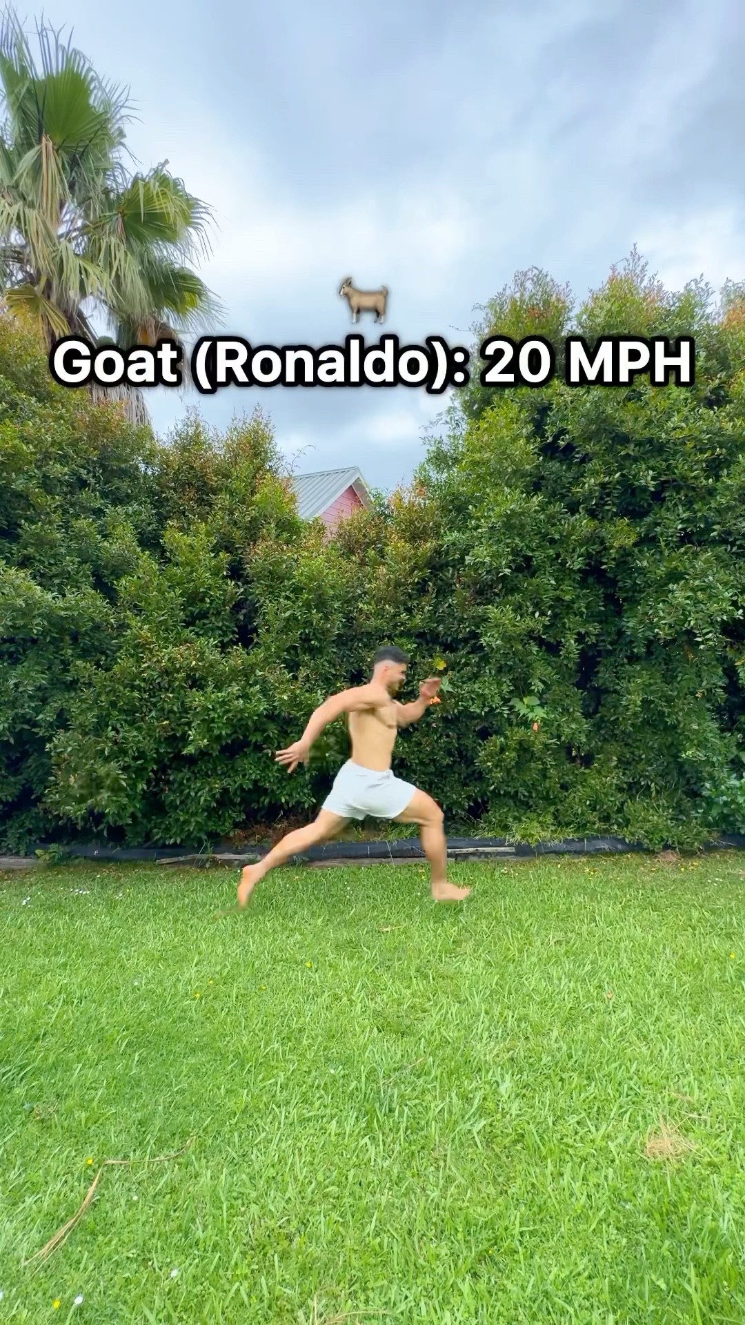 Whats your favourite animal