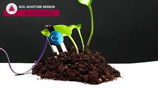 Soil Moisture Sensors: How to Interface w/ Arduino