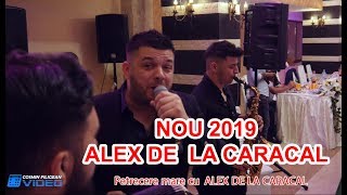 Video thumbnail of "NOU 2019   MUZICA DE PETRECERE   CEL MAI BUN COLAJ LIVE CU TARAFUL OLTENESC ALEX DE LA CARACAL"
