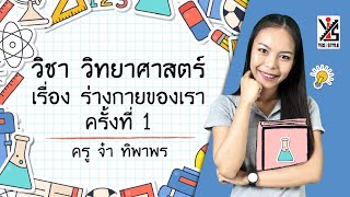 วิทยาศาสตร์ ป.6 ตอนที่ 1 ร่างกายของเรา Part 1 - Yes iStyle