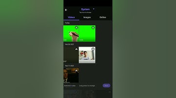 VIVACUT  Green screen removes
