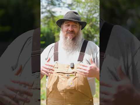 Grass Valley: a short town account