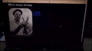 Web based interactive story-telling platform