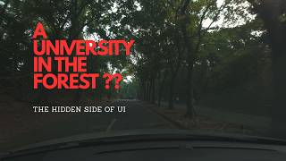 A Quiet Morning Drive to Universitas Indonesia Depok 4K  | Sound Car Only