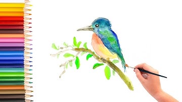 (Watercolor for beginner) Paint a bird in watercolor, watercolor tips and tricks【水彩画入门教程】