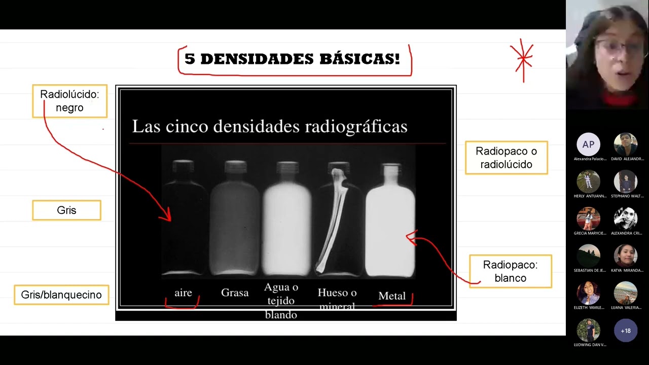 Sesión 1 - Generalidades - Diagnóstico por imágenes 1 - 29/07/2022