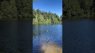 next time check the nearest body of water first