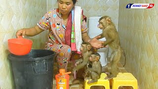 Awesome Family Baby Monkey KAKO Taking Bath Routine