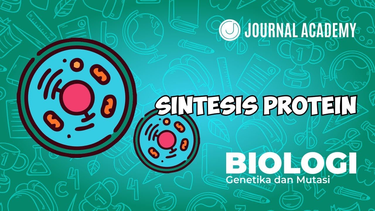 Biologi - Sintesis Protein (journalacademy) - YouTube