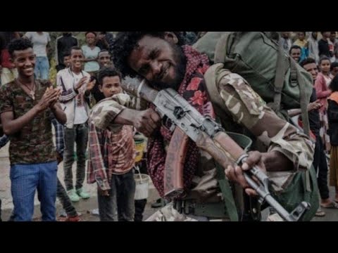 እምበር ተጋዳላይ John Haftu New Tigrigna TDF Music 2022