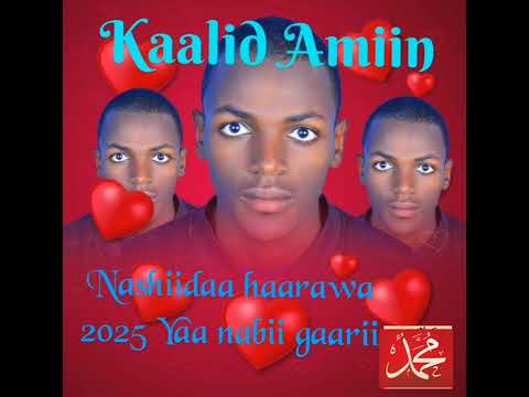 Nashiidaa Haaraya Yaanabii Gaarii Munshid Kaalid Amiin Itti Dhihaadha