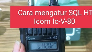Cara mengatur SQL HT Icom Ic-V-80