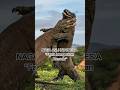 Fakta Komodo Yang Bikin Merinding. #shortsindonesia #komodo