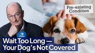 Don’t Buy Dog Insurance before You Watch This Cost-saving Guide