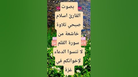بصوت  القارئ اسلام صبحي تلاوة خاشعة من سورة القلم #قران_كريم #المصحف #دويتو #لايك #اكسبلور