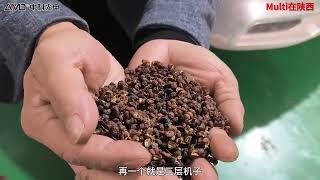 AMD red pepper, black pepper  with a Three-layer color sorter/sorting/sortex machine