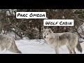 Family Day LW / Parc Omega / Wolf Cabin