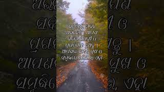 🌿 24 April ଜନ୍ମଦିନର ଶୁଭେଚ୍ଛା 🎉