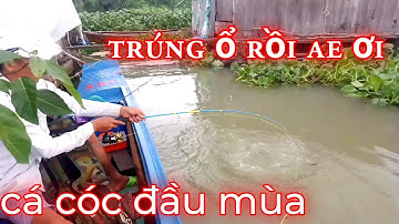 Câu Cá Cóc Mùa Nước Đục / Tìm Chỗ Cá Ở / Xì long
