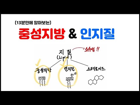 [거대분자] 3.7 지질 - 중성지방 & 인지질 정리