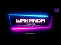 Wakanda forever live set featuring mix master tony  dj country boy at outside lounge guyana