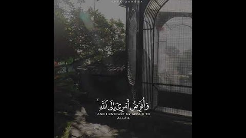 وَأُفَوِّضُ أَمۡرِیۤ إِلَى ٱللَّهِۚ إِنَّ ٱللَّهَ بَصِیرُۢ بِٱلۡعِبَادِ)[سورة غافر 44]