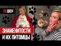 Собачки Бузовой и кот Шнурова | Знаменитости и их питомцы