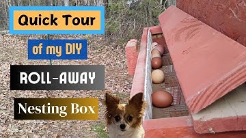 Roll Away Egg Nesting Box - DIY #diy #chicken #egg
