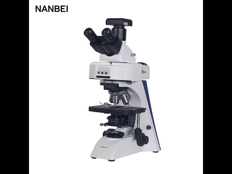Microscope BK5000