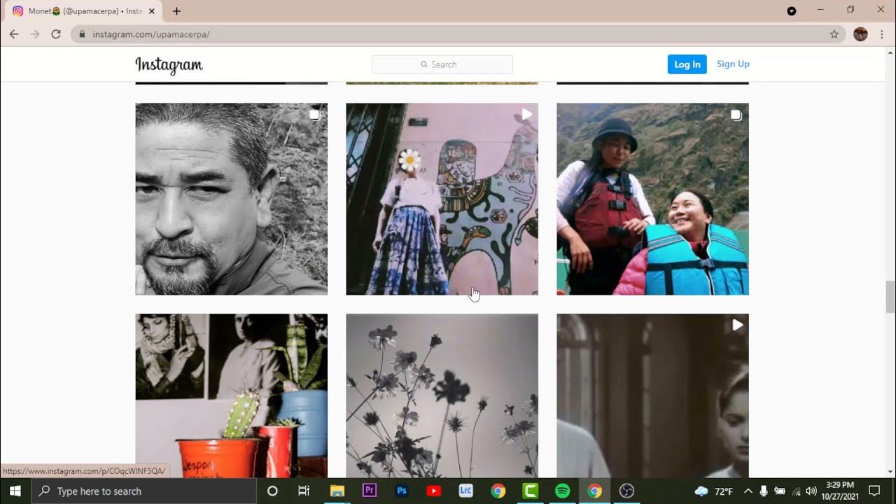 How to See Instagram Profile Without Logging In | VIEW INSTAGRAM ...