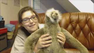 Cuddly Toy Review: Sloth by Hansa Creation ASMR