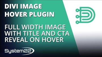 Divi Theme Hover Effects Full Width Image With Title And CTA Reveal On Hover 👈