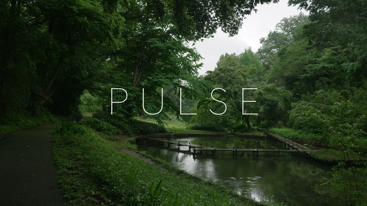 PULSE - CineLike A2 / LUMIX S1IIE