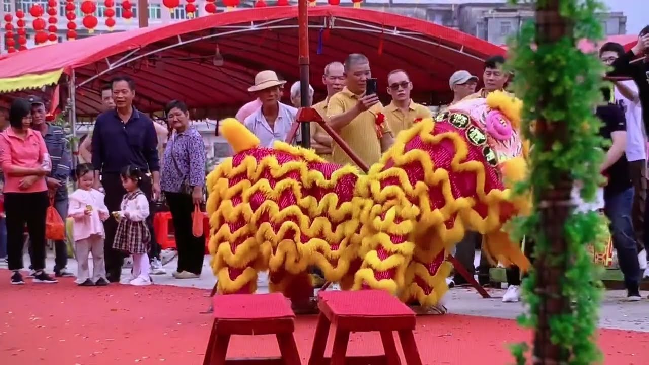 广东省台山市冲蒌镇沙坦村盛典 Grand Ceremony in Shatan Village, Chonglou Town, Taishan City, Guangdong Province