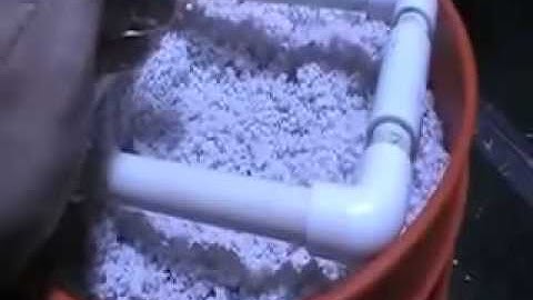 Home Made Hydroponics System on the cheap part 2