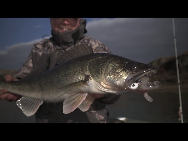 Abu Garcia: Fall Walleye 