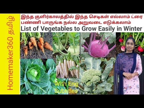 சுலபமாக வளரக்கூடிய  குளிர்கால காய்கறி செடிகள் |  Top List of Easy Growing Winter Vegetables to Try