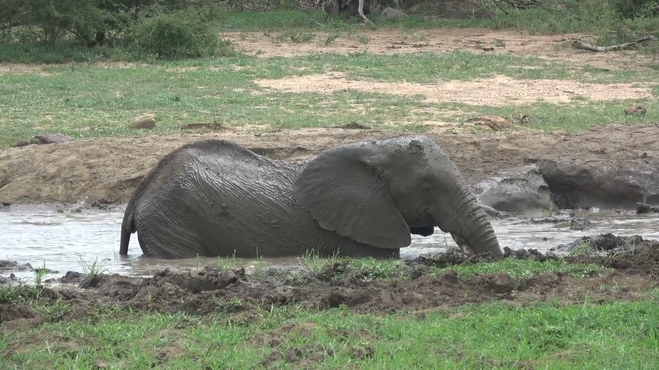 Kruger Park and Marloth Park with Christmas and new year 24/25