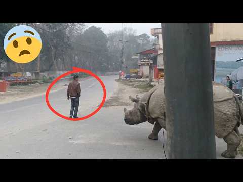 Hunters Could Not Believe What Appeared on Their Camera in the Middle of the Night