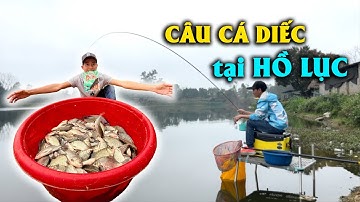 CÂU CÁ DIẾC TẠI HỒ LỤC - CHIA SẺ NHỊP PHAO CÂU DIẾC | VIETNAM FISHING TV