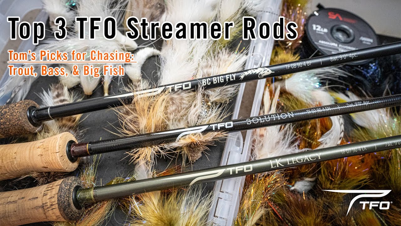 best saltwater and freshwater reel Best Saltwater Spinning Reels For 2026