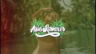 ArieRemixer - Tere Sang Yaara Fvnky Version 2024