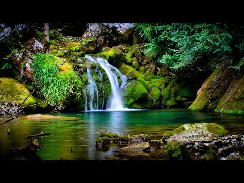 سورة الفتح | القارئ محمود علي البنا رحمه الله