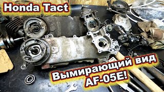 Honda Tact AF-05E ВЫМИРАЮЩИЙ ВИД !