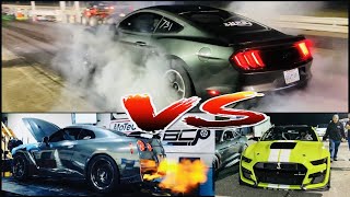 GEN 5 Whipple 15 Mustang GT VS Modified 2017 GTR & 2020 GT500!